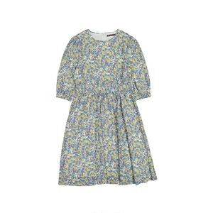 ROWE Blue Small Floral Dress